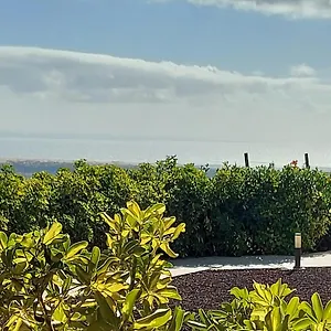 Landhaus The Black Horse Canarias - Adults Only, Maspalomas (Gran Canaria)